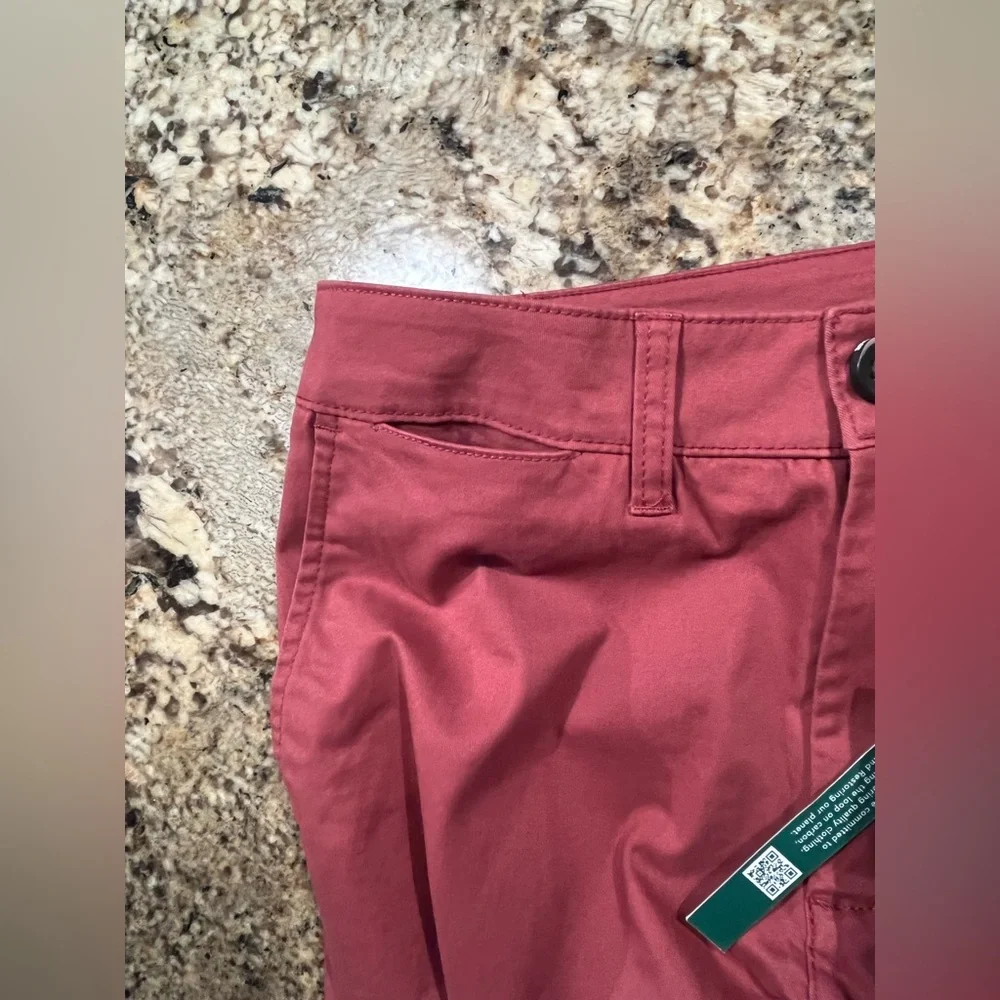 NWT Tailor Vintage Men’s Classic Fit Chino Pants